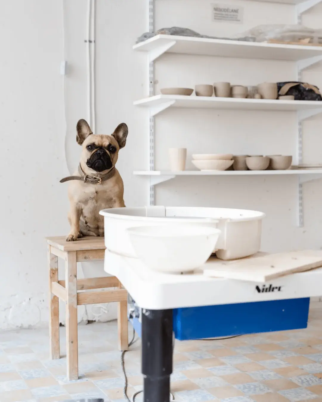 Studio Gallery 1